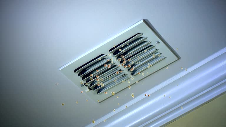 Best HVAC System Cleaning  in Fruitville, FL